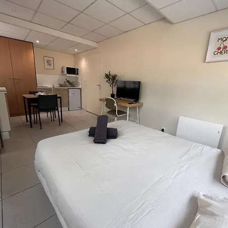 Cosy 2 Pers Pres Fac Et Centre Apartamento *